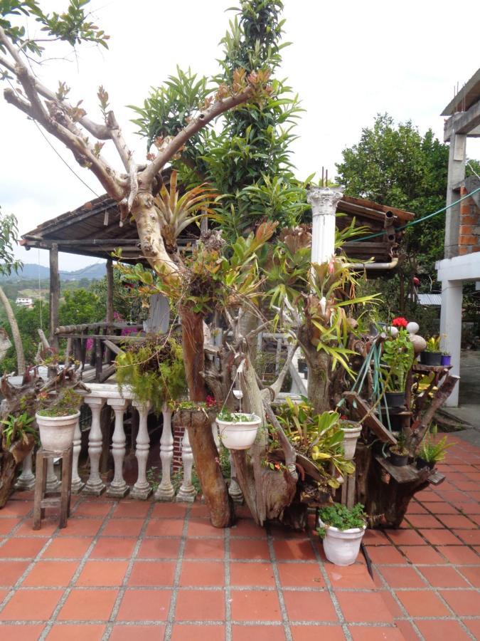 Hostal Loco Locombia San Agustin  Luaran gambar
